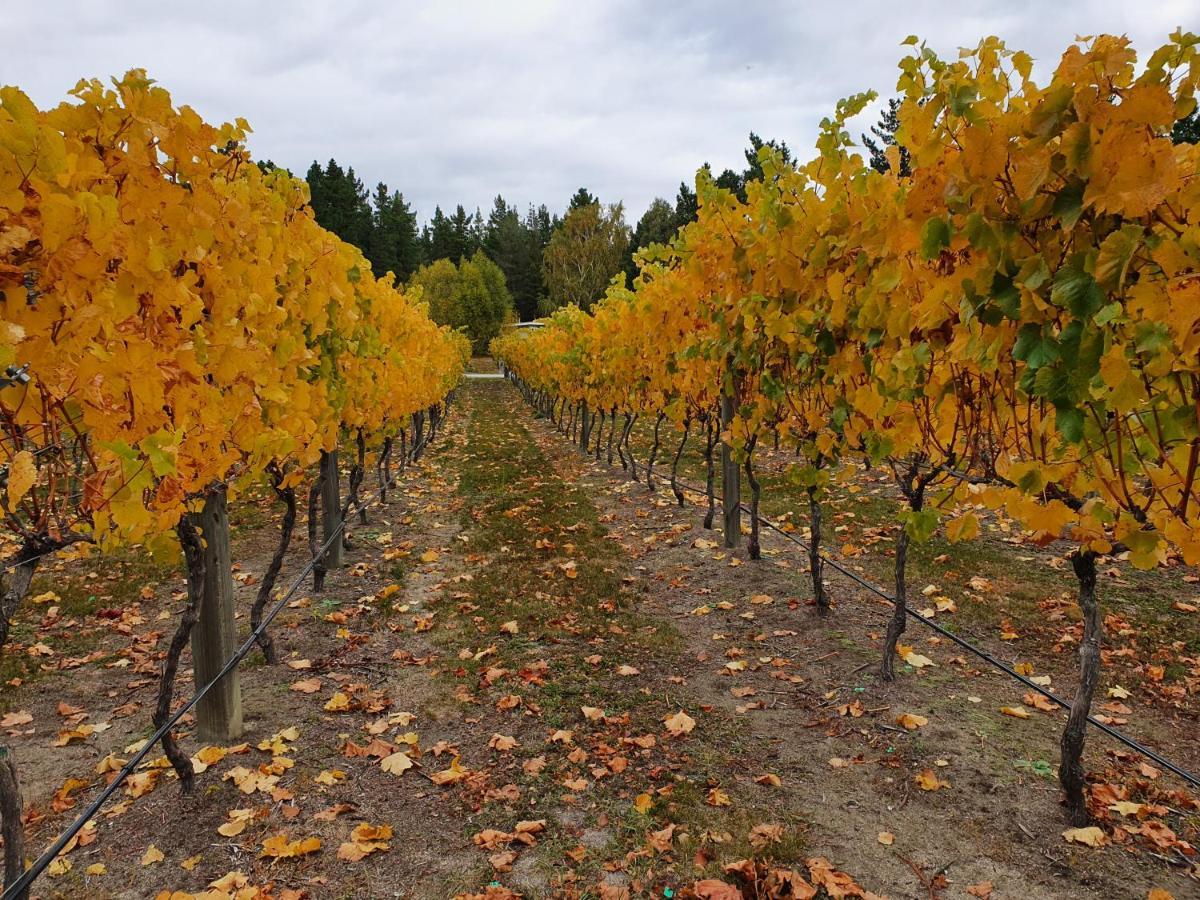 Bed and Breakfast Vines On Bannockburn à Cromwell Extérieur photo